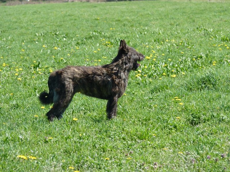 Hypso du domaine de sursaint